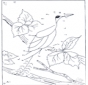 Connect the Dots - bird 1
