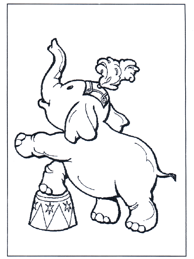 Elephant in circus
