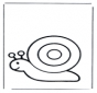 Snail