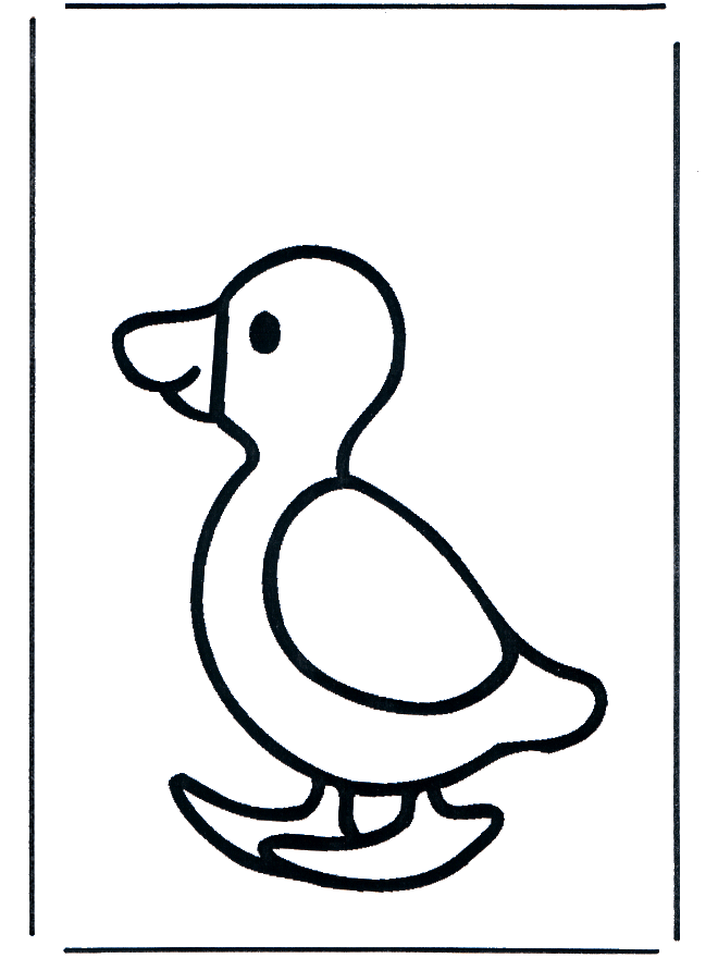 Baby duck - Dyre-malesider
