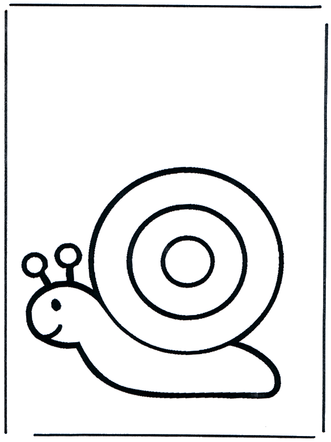 Baby snail - Dyre-malesider