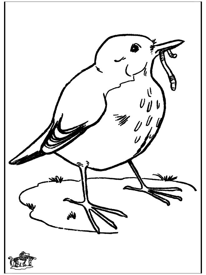Blackbird - Fugle-malesider