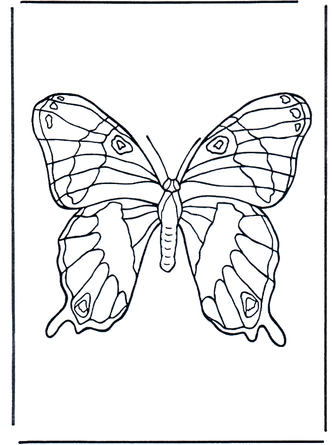 Butterfly 1 - Malesider med insekter