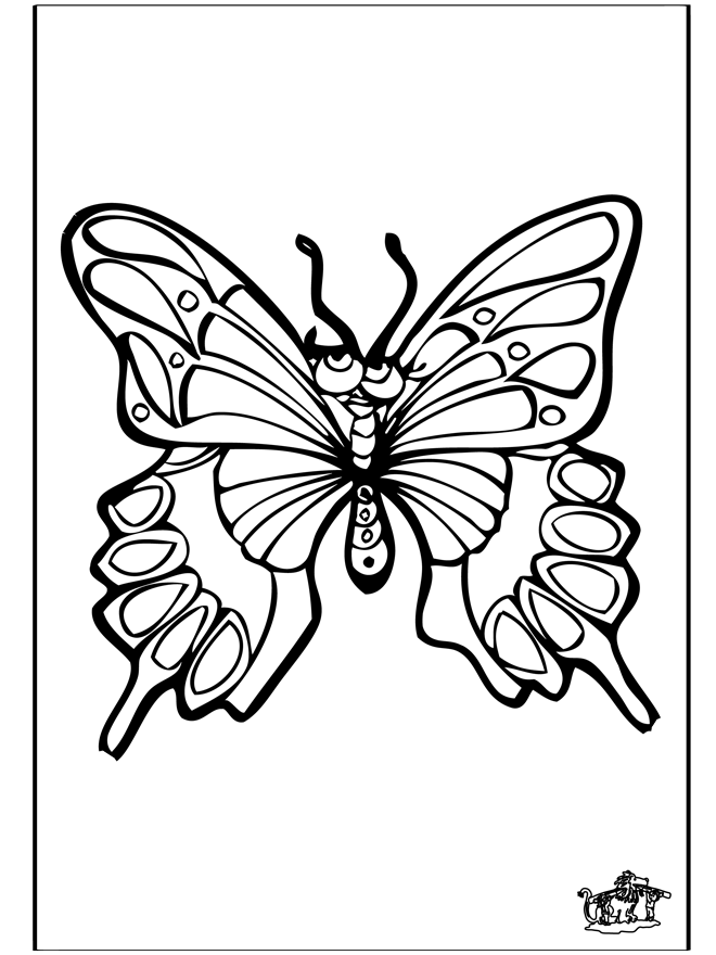 Butterfly 4 - Malesider med insekter