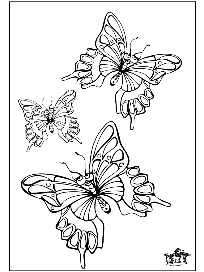 Butterfly 5 - Malesider med insekter