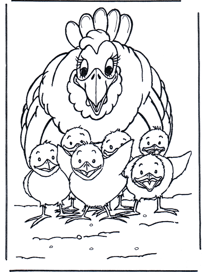 Chicken and little chicks - Kæledyr og bondegårdsdyr