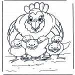 Dyre-malesider - Chicken and little chicks