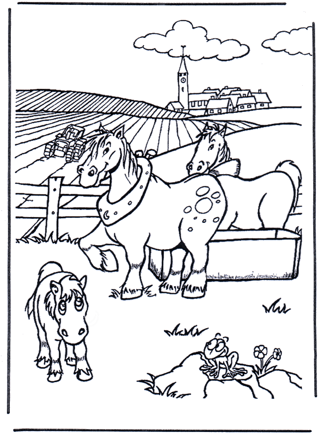 Coloring picture horse - Heste-malesider