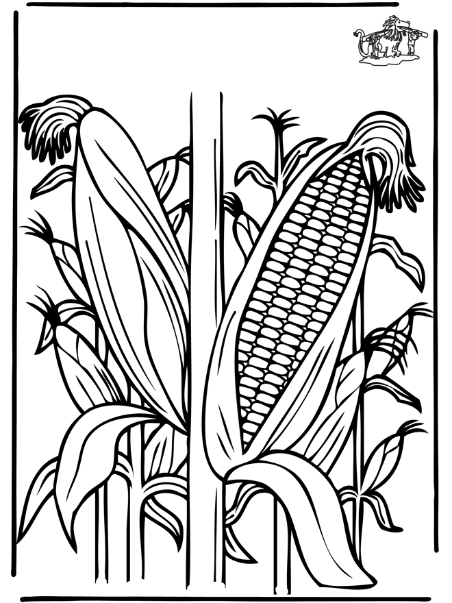 Corn - Malesider med planter