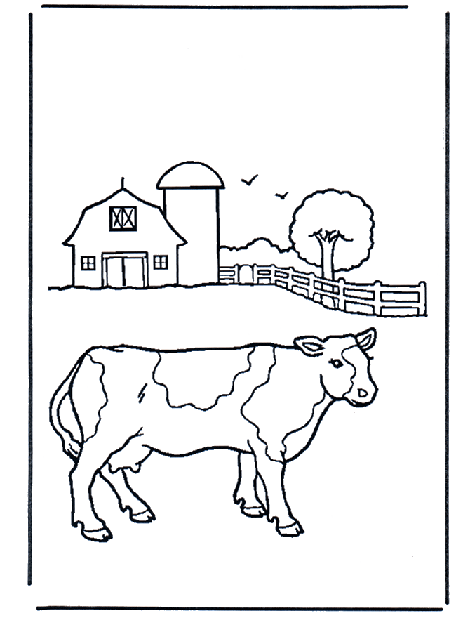 Cow - Bondegårds-malesider