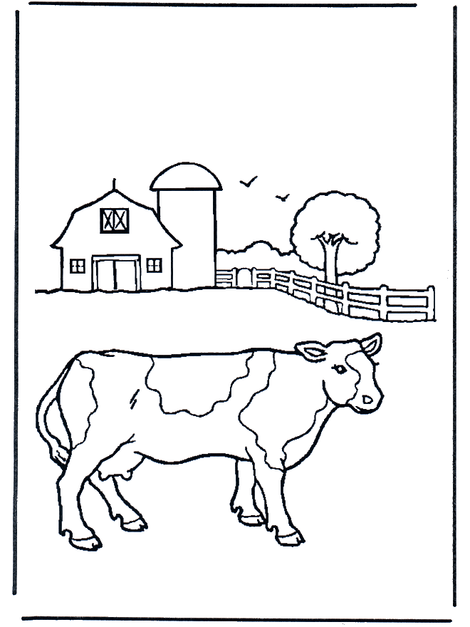 Cow on farm - Kæledyr og bondegårdsdyr