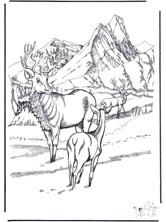 Deer in the snow - Malesider med vinterdyr