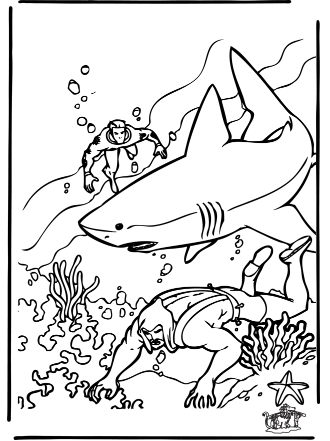 Diver and shark - Hav-malesider