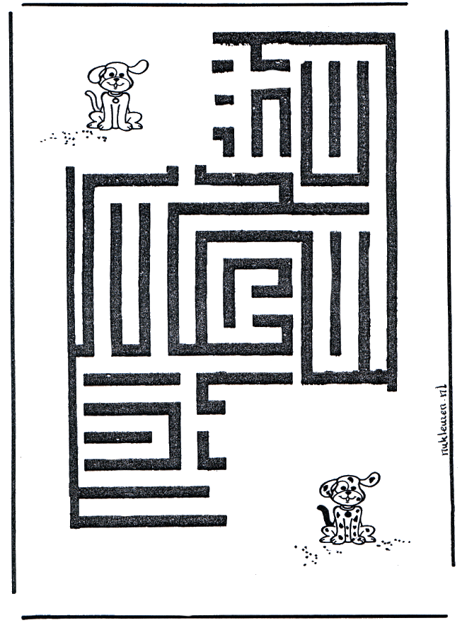 Dog labyrinth - Labyrint