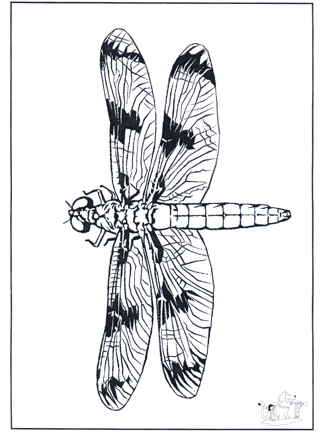 Dragon-fly 2 - Malesider med insekter