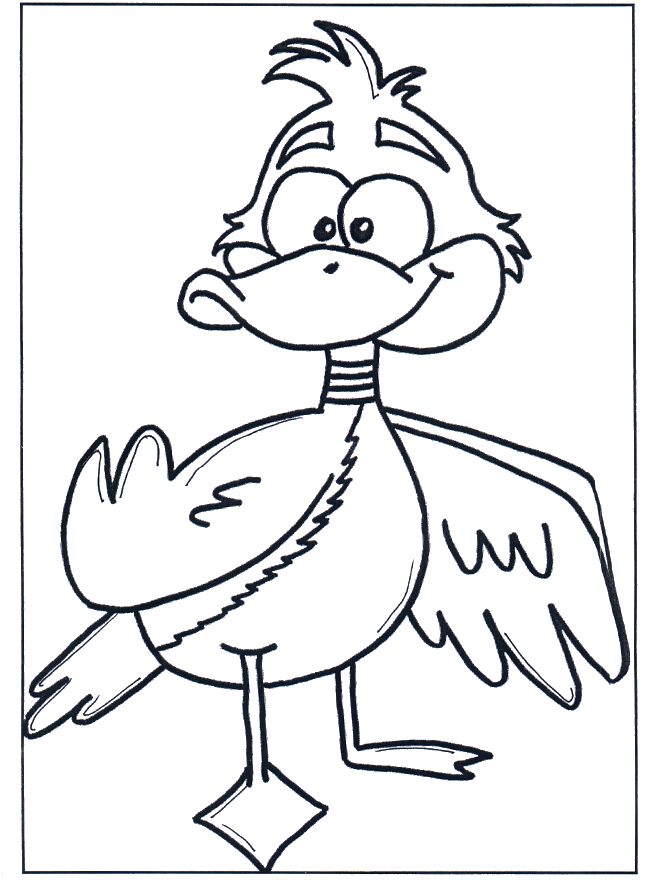 Duck 3 - Fugle-malesider