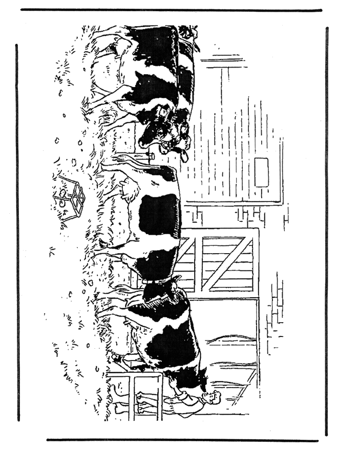 Free coloring pages cows - Kæledyr og bondegårdsdyr