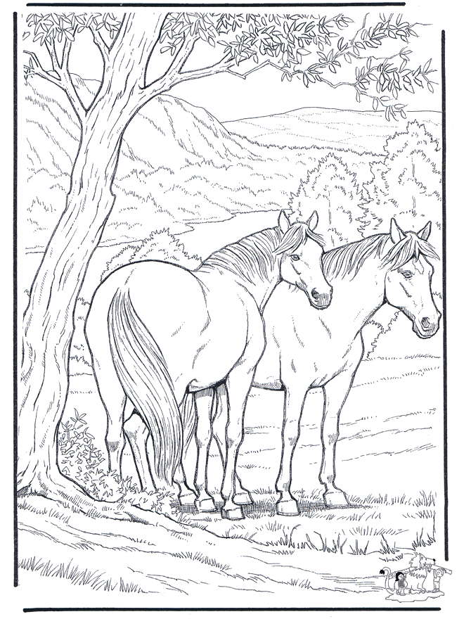 Free coloring pages horse - Heste-malesider