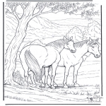 Dyre-malesider - Free coloring pages horse