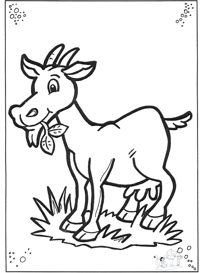 Goat 2 - Kæledyr og bondegårdsdyr