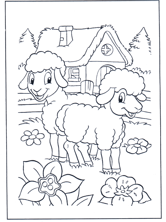 Happy sheep - Dyre-malesider