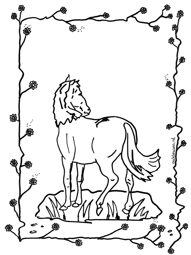 Horse 2 - Heste-malesider