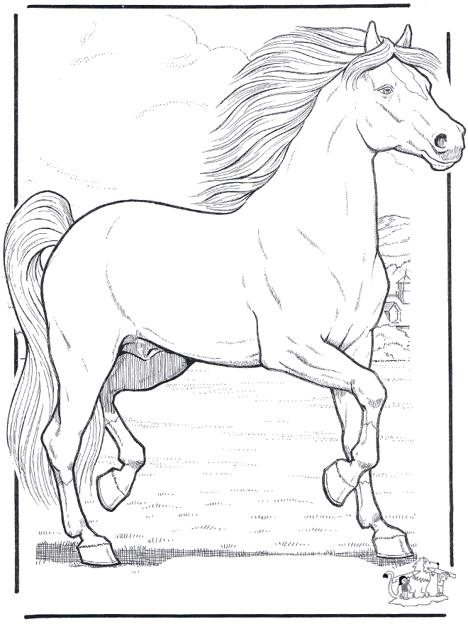 Horse 3 - Heste-malesider