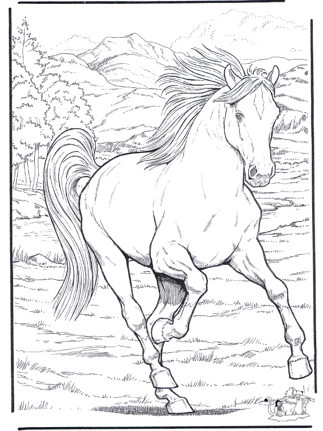 Horse 4 - Heste-malesider