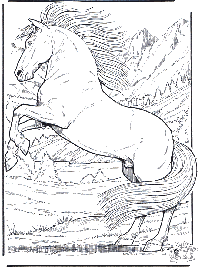 Horse 5 - Heste-malesider
