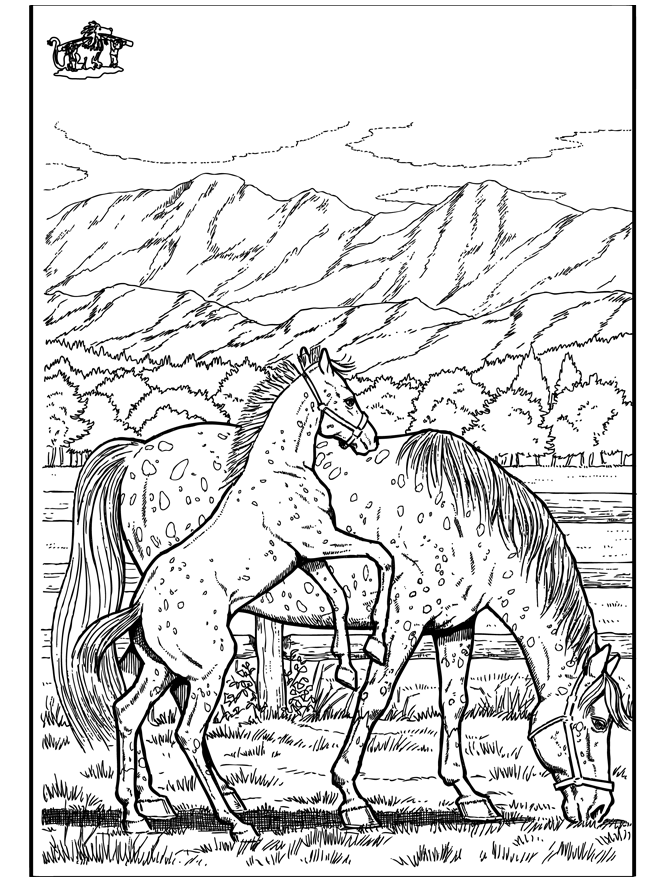 Horse 6 - Heste-malesider
