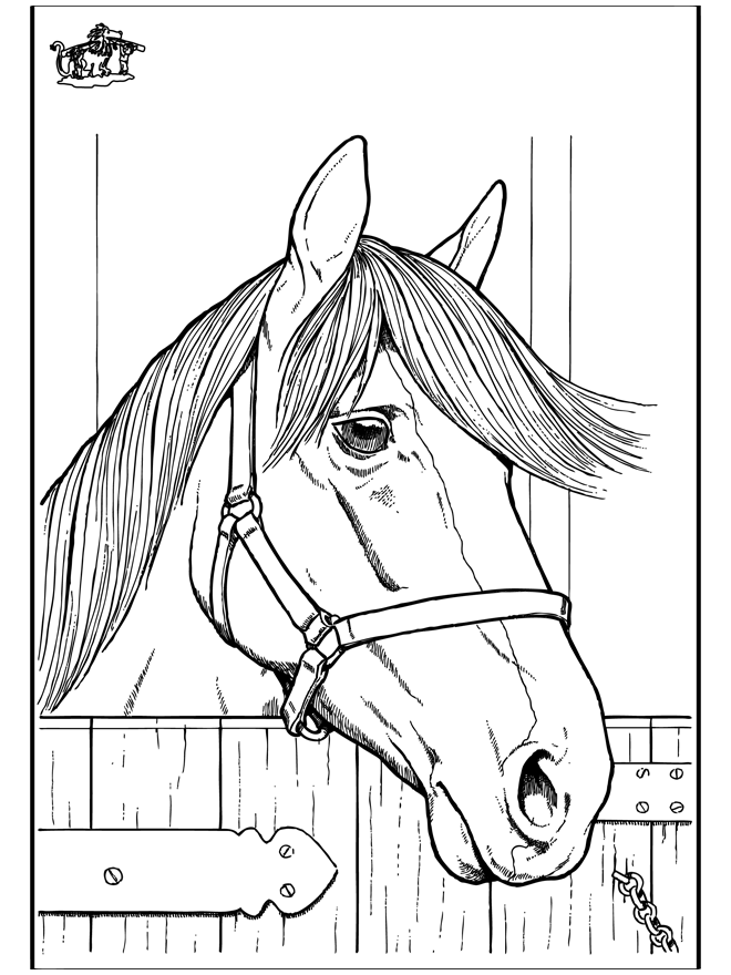Horse 7 - Heste-malesider