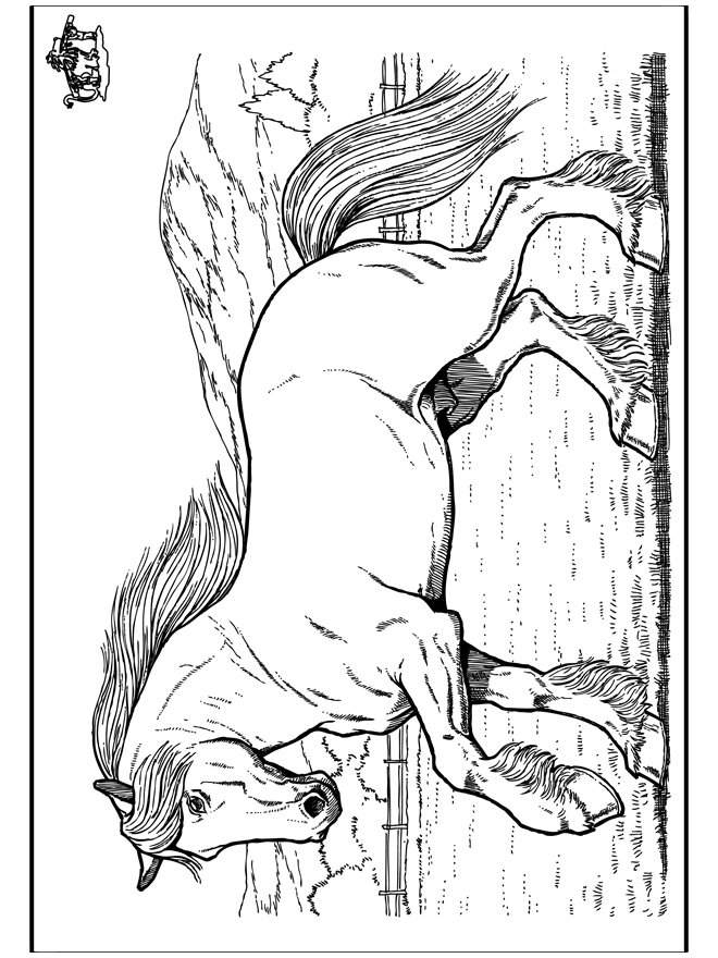Horse 8 - Heste-malesider