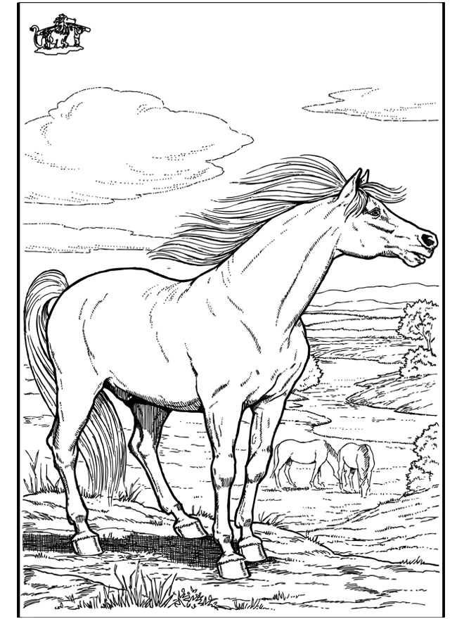 Horse 9 - Heste-malesider