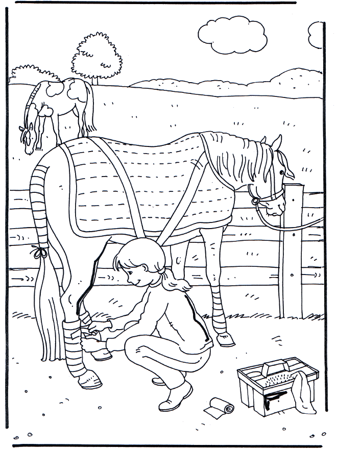 Horse care - Heste-malesider