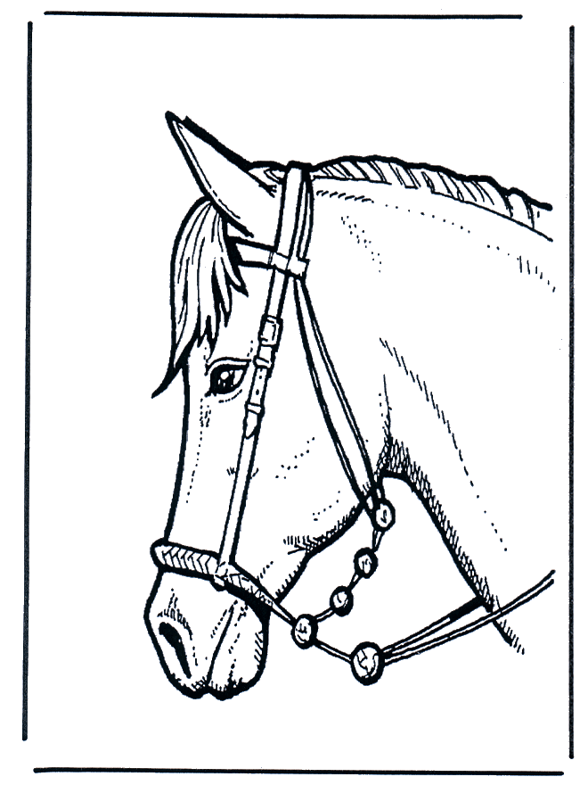 Horse head 2 - Heste-malesider