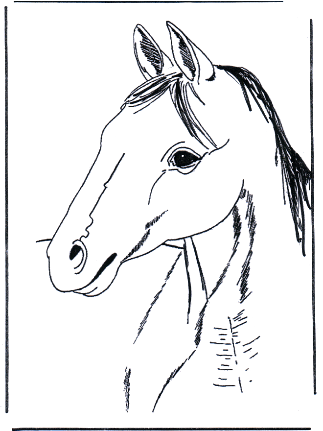 Horse head 3 - Heste-malesider