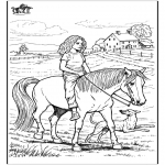 Dyre-malesider - Horseriding 5