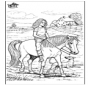 Horseriding 5