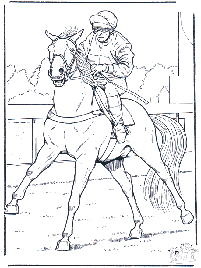 Jockey on horse - Heste-malesider