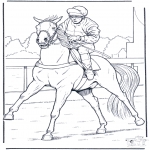 Dyre-malesider - Jockey on horse