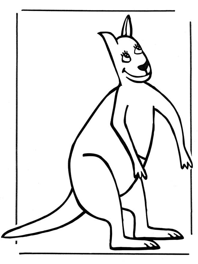 Kangaroo 3 - Zoo-malesider