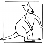 Dyre-malesider - Kangaroo 3