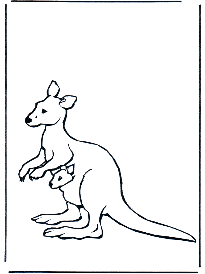 Kangaroo with baby - Zoo-malesider