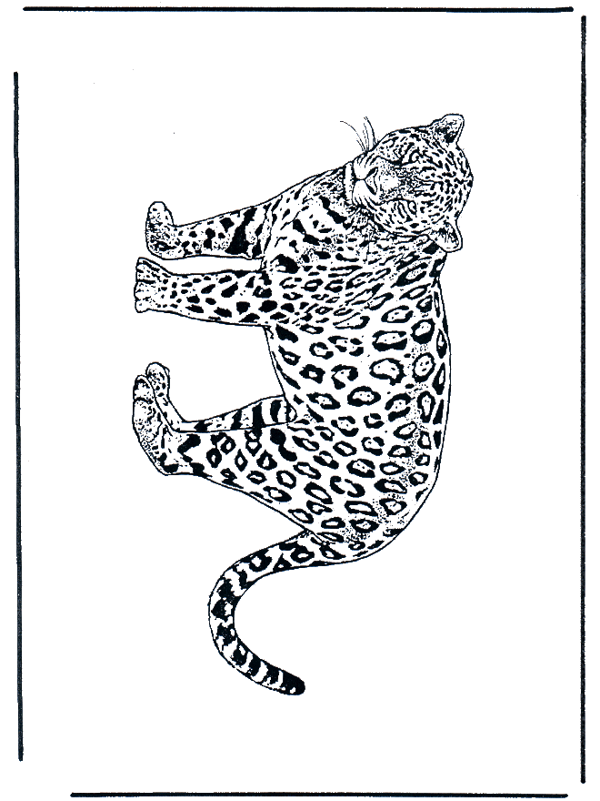 Leopard 2 - Malesider med kattedyr
