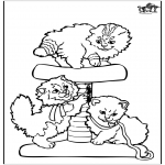 Dyre-malesider - Little cats