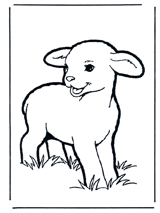 Little lamb 1 - Kæledyr og bondegårdsdyr