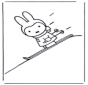Little rabbit on ski's