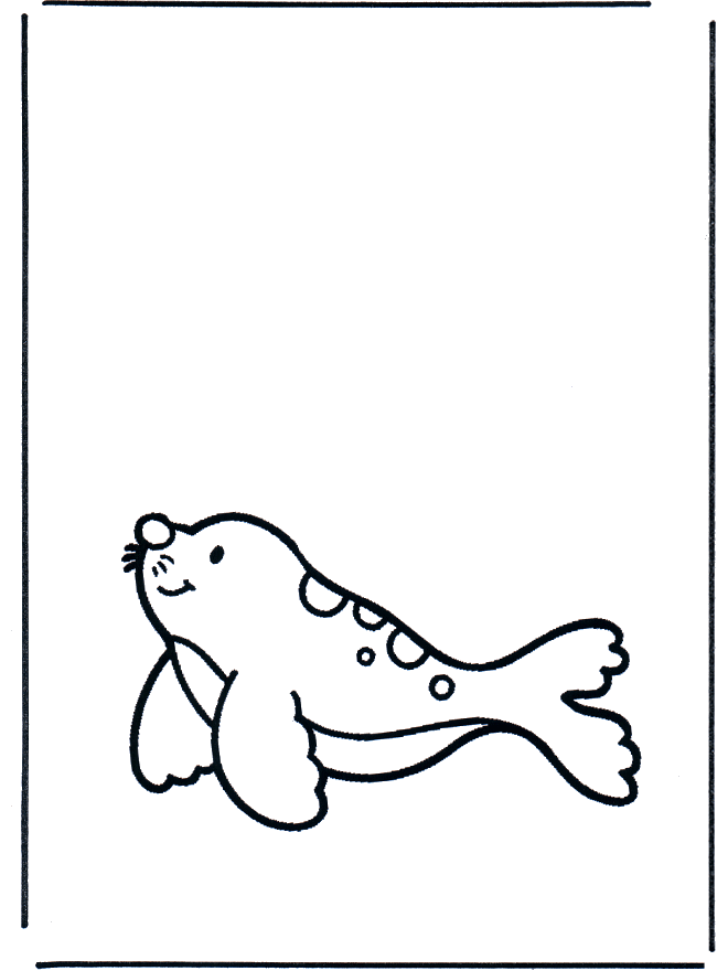 Little seal - Dyre-malesider