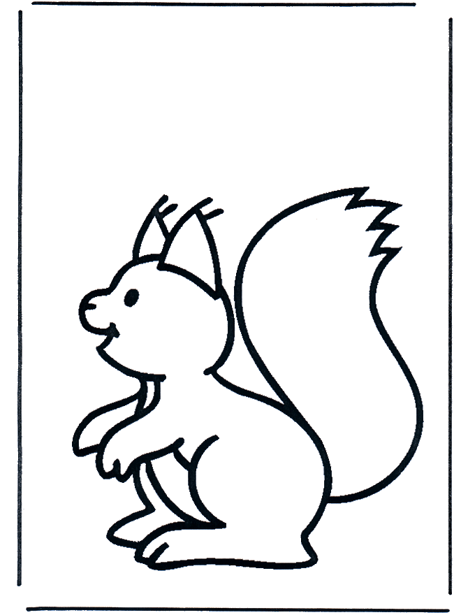 Little squirrel - Dyre-malesider