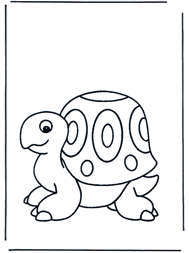 Little turtle - Dyre-malesider